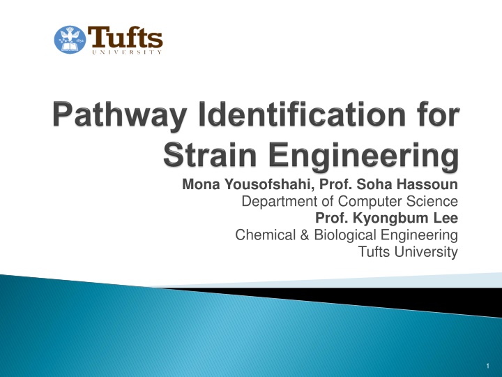 mona yousofshahi prof soha hassoun department