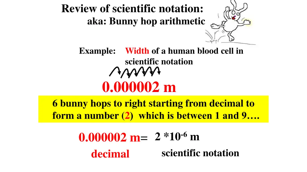 review of scientific notation aka bunny