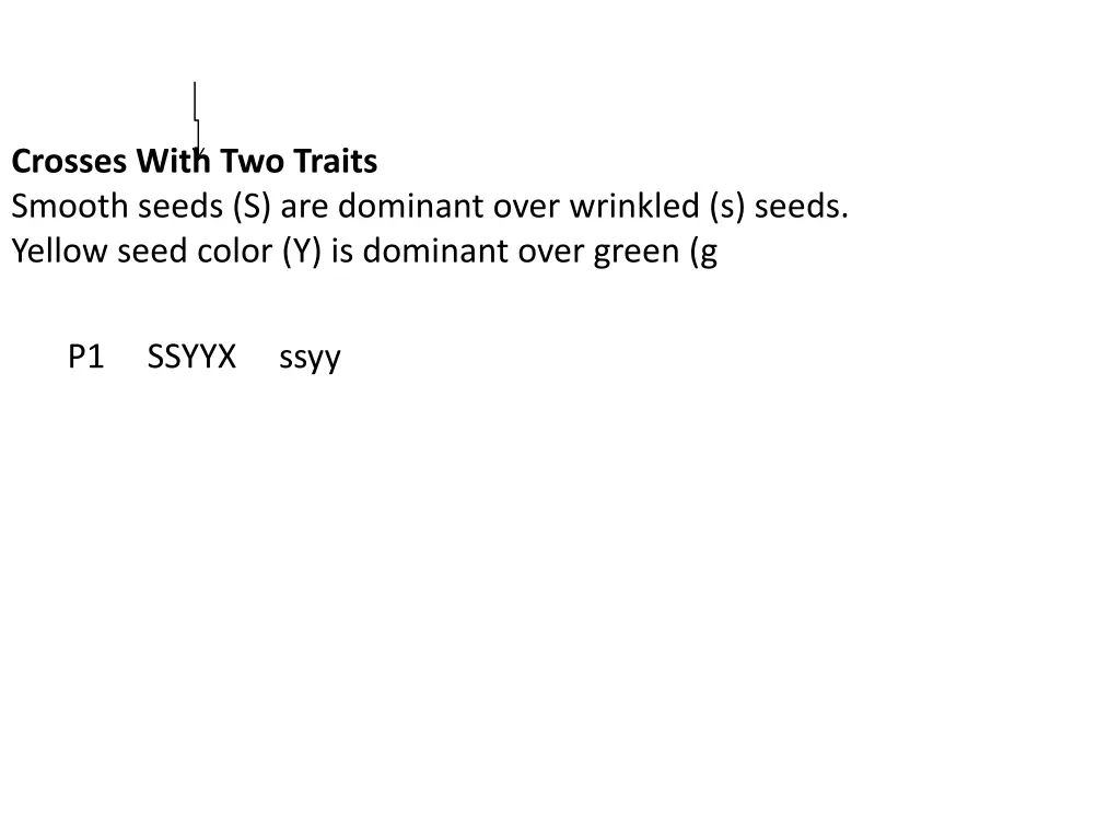 crosses with two traits smooth seeds