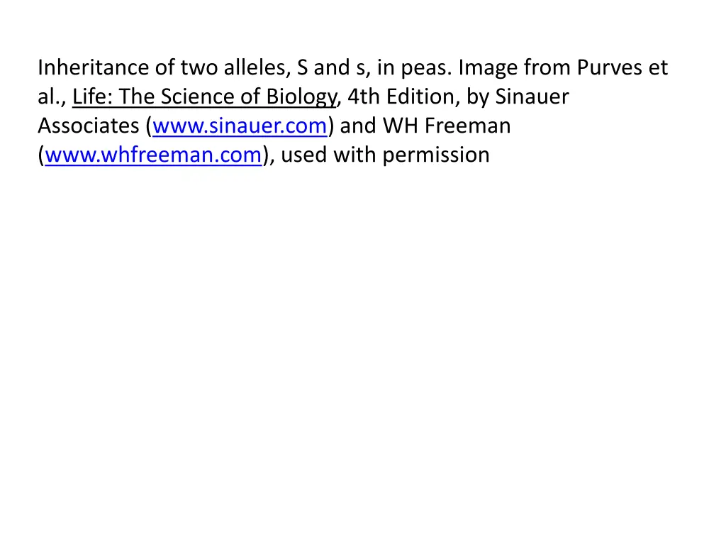 inheritance of two alleles s and s in peas image