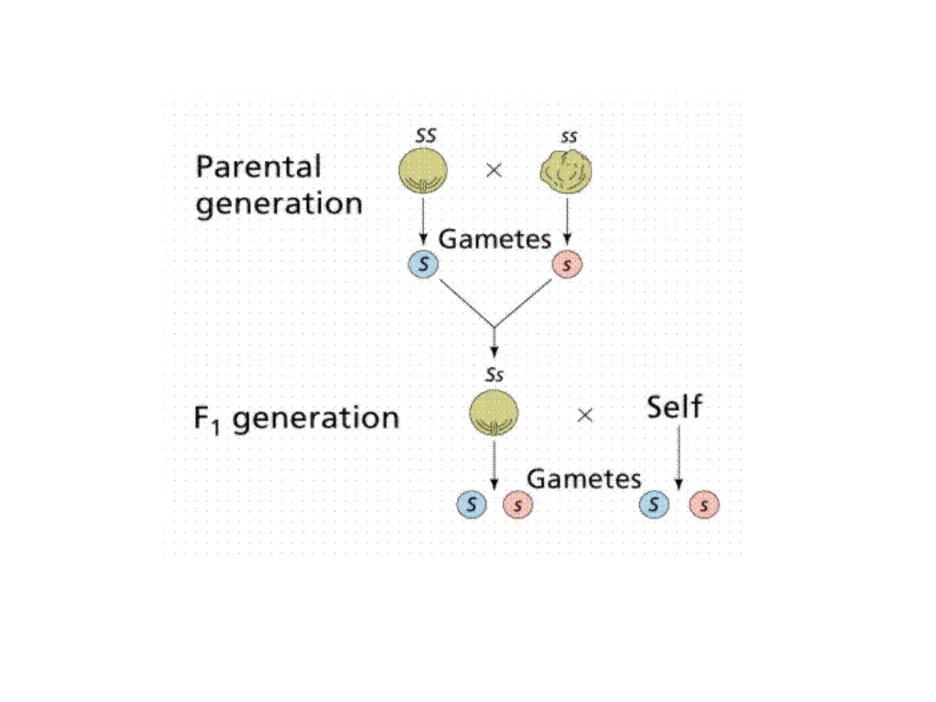slide16
