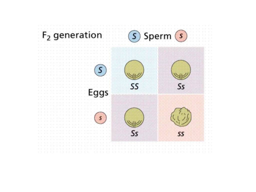 slide18