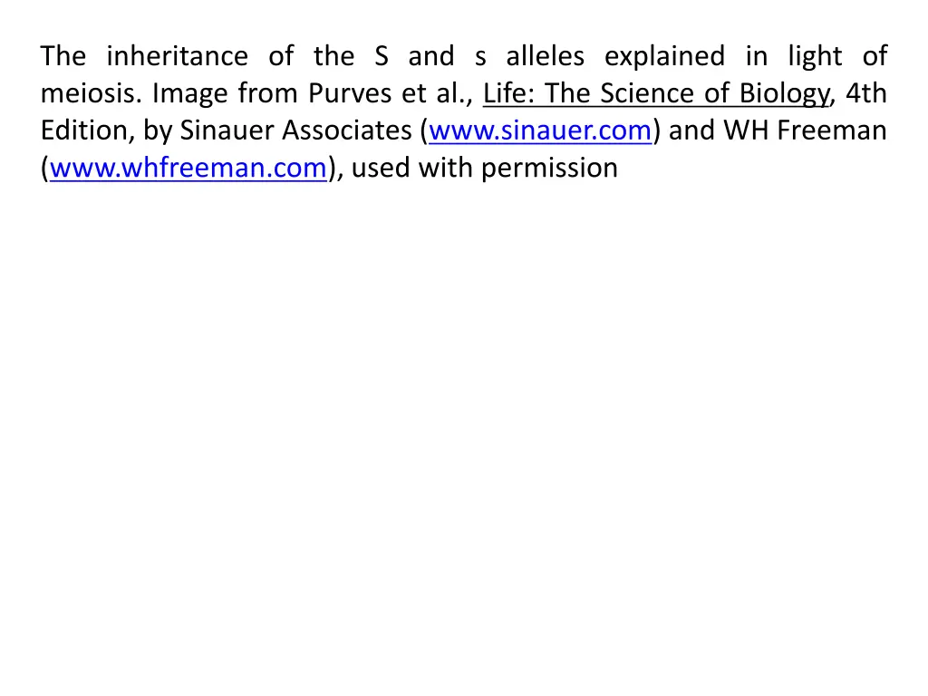 the inheritance of the s and s alleles explained