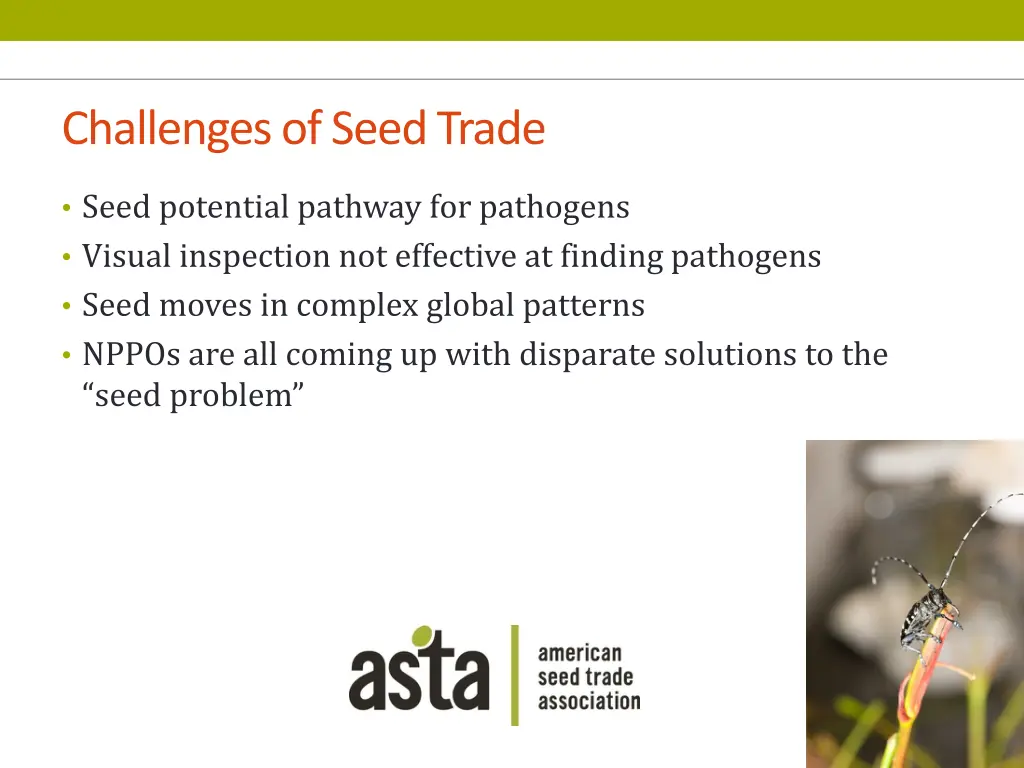 challenges of seed trade