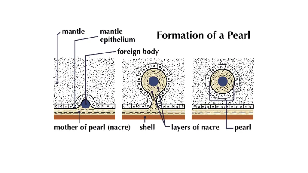 slide4