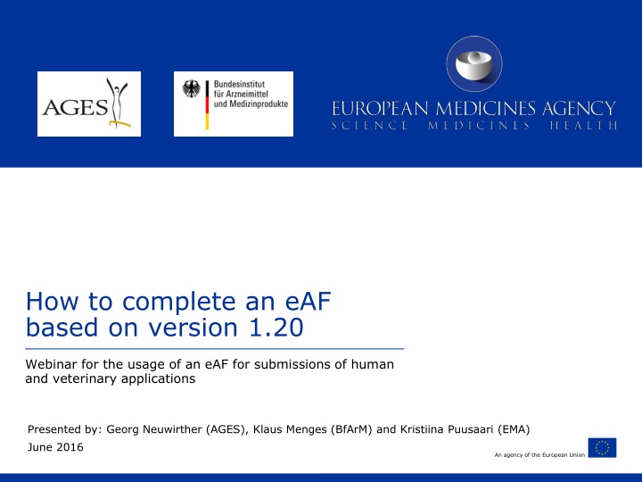 how to complete an eaf based on version 1 20