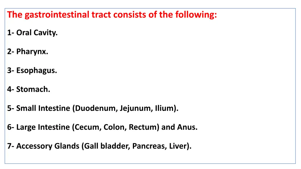 the gastrointestinal tract consists