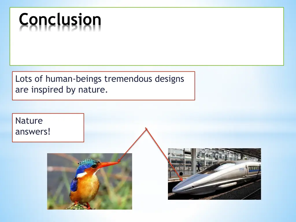 conclusion