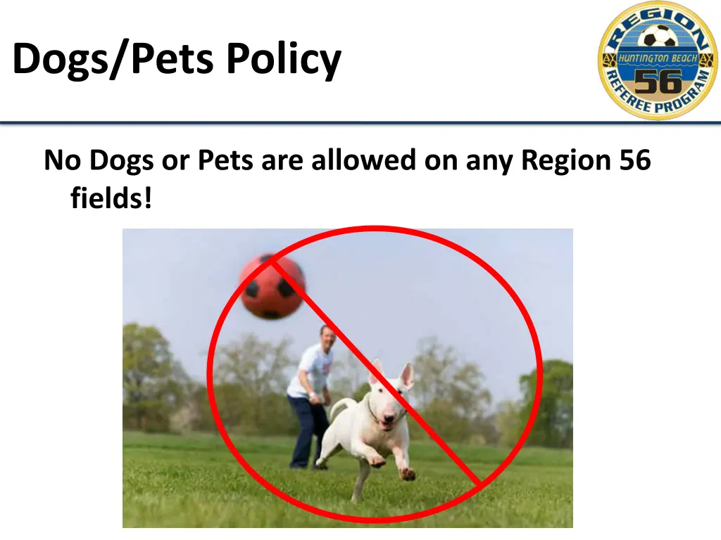 dogs pets policy