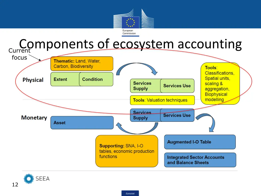components of ecosystem accounting current focus