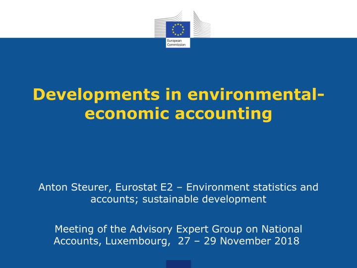 developments in environmental economic accounting