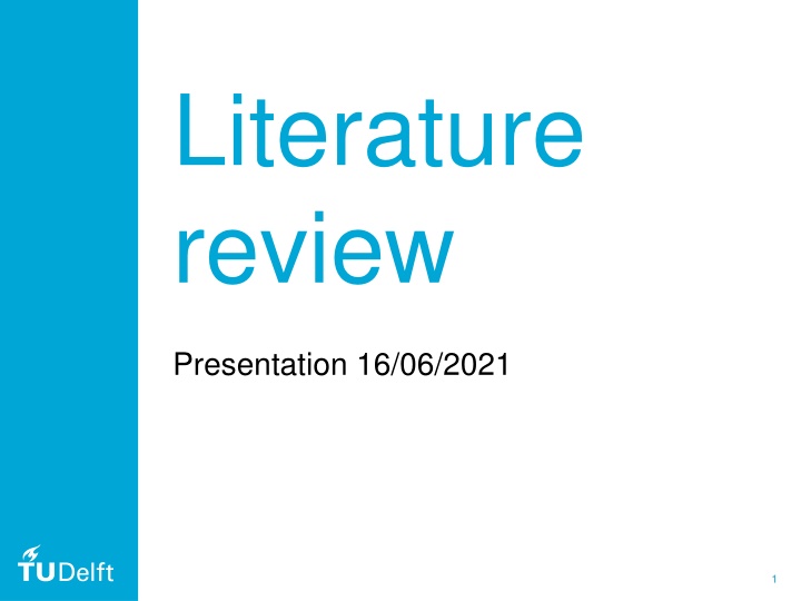 literature review