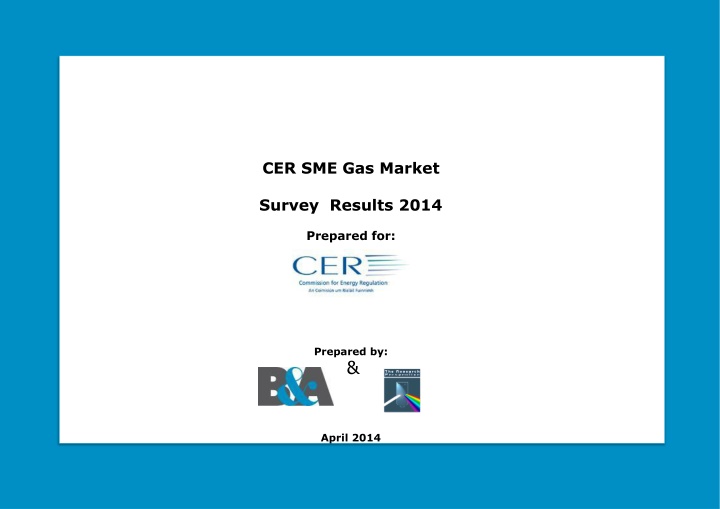 cer sme gas market