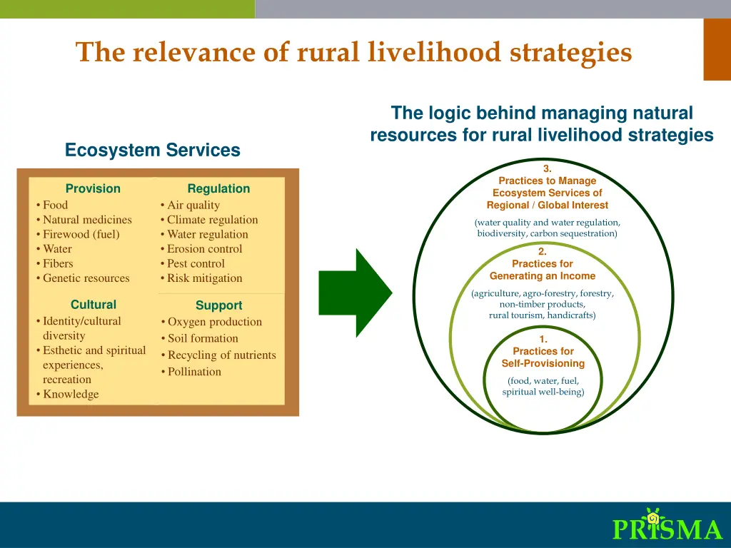 the relevance of rural livelihood strategies