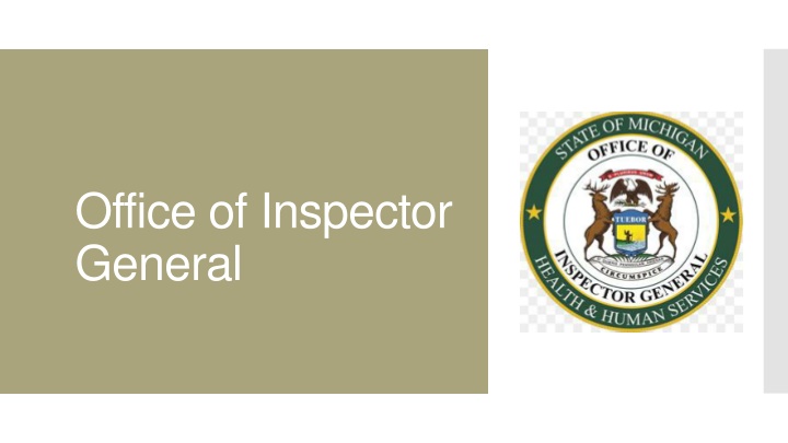 office of inspector general