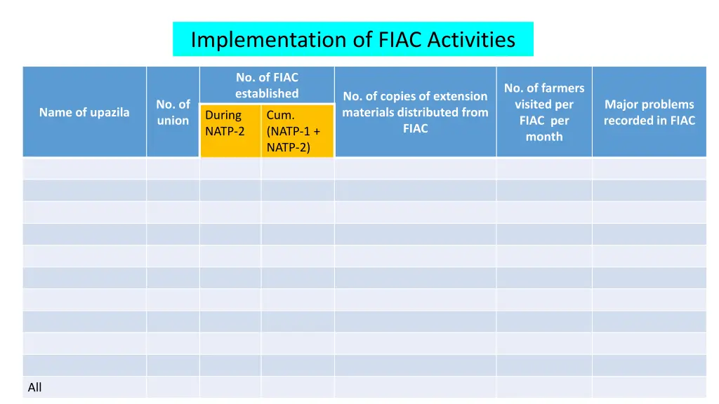 implementation of fiac activities