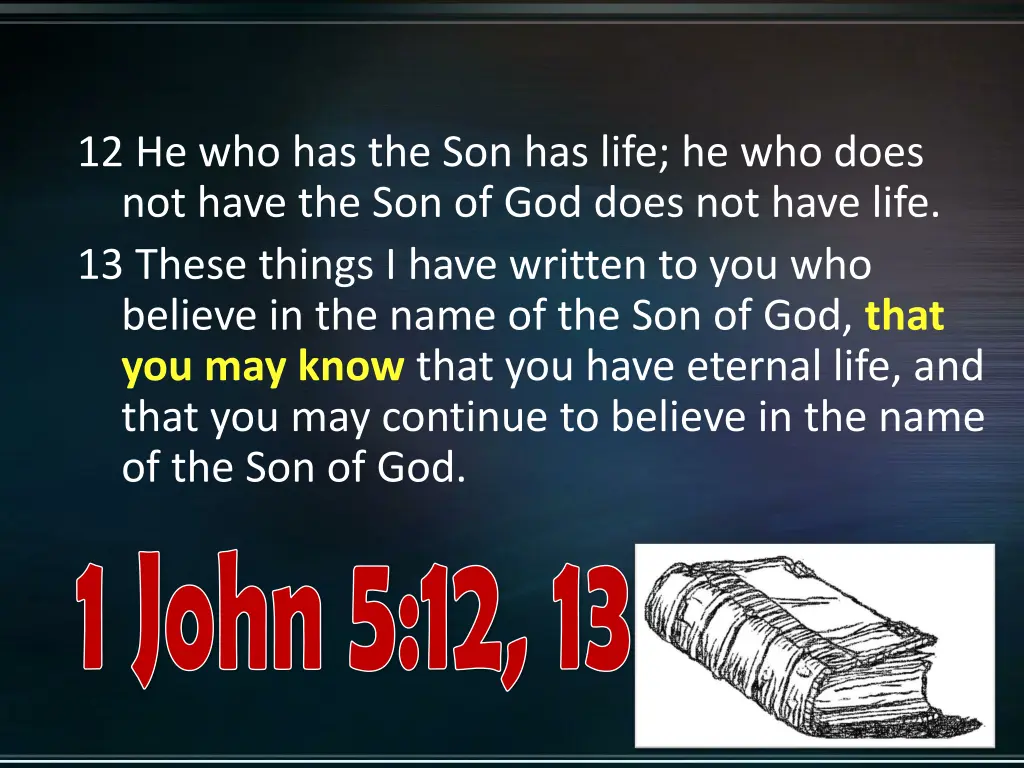 12 he who has the son has life he who does