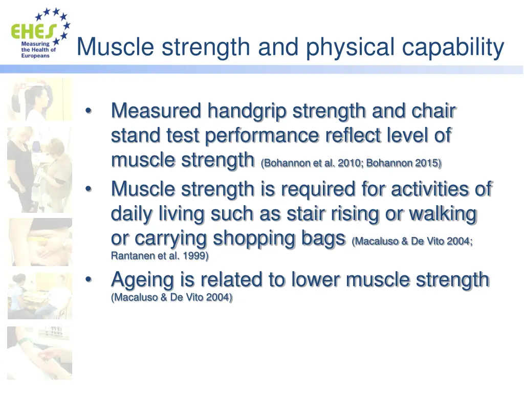 muscle strength and physical capability