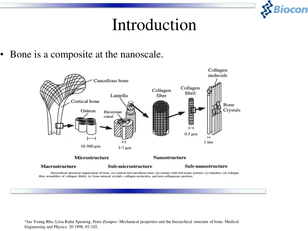 introduction