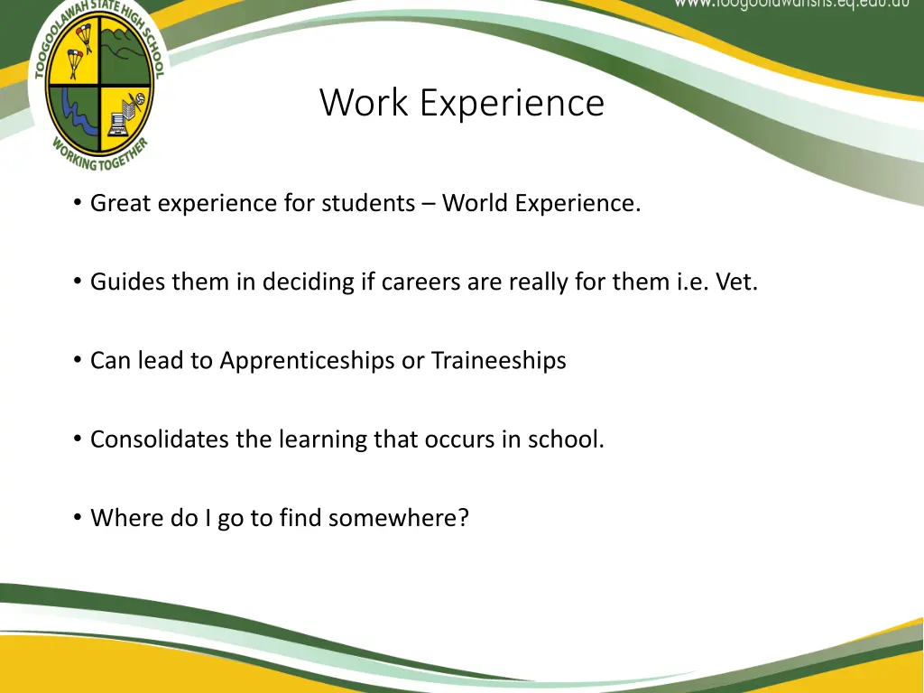 work experience