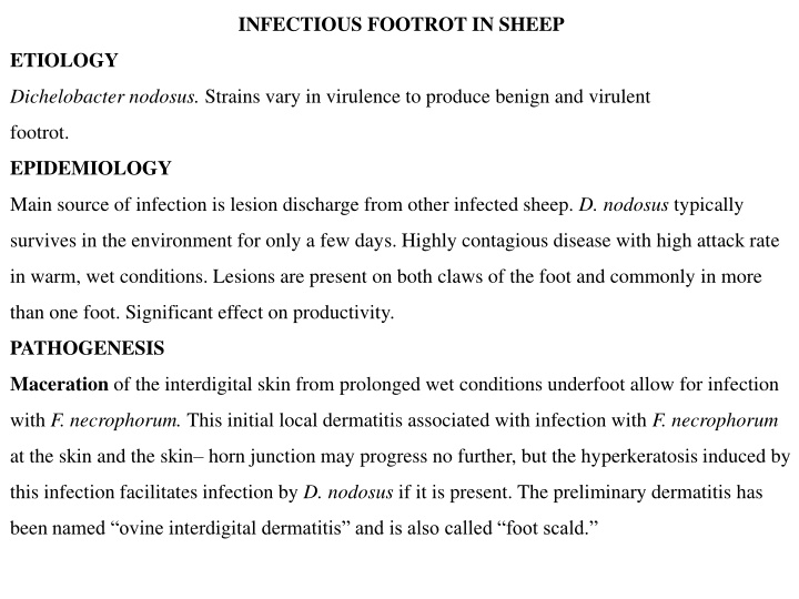infectious footrot in sheep