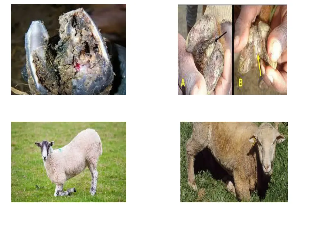 slide3