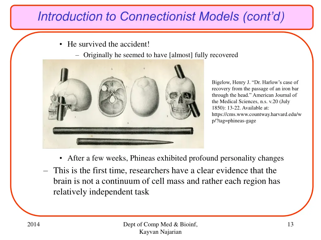 introduction to connectionist models cont d