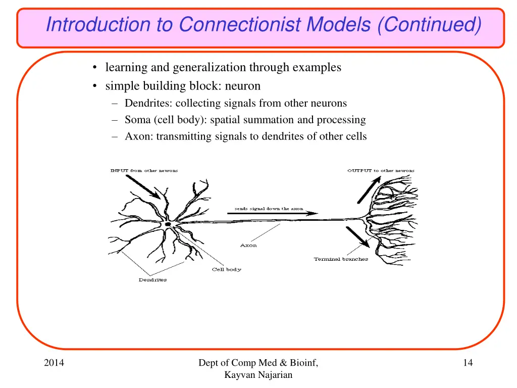 introduction to connectionist models continued