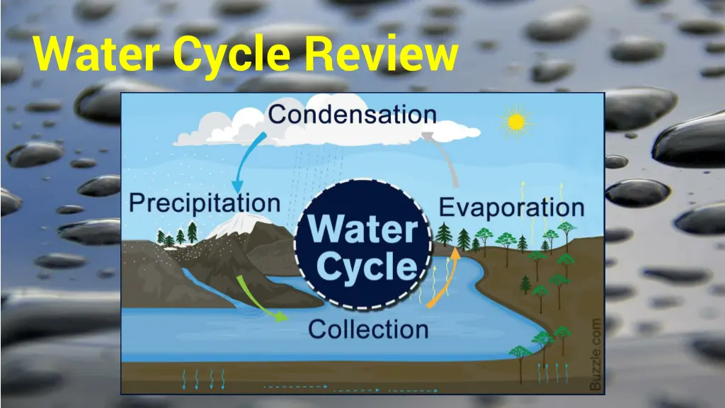 water cycle review
