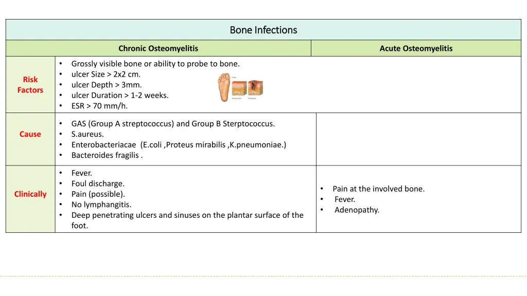 bone infections bone infections