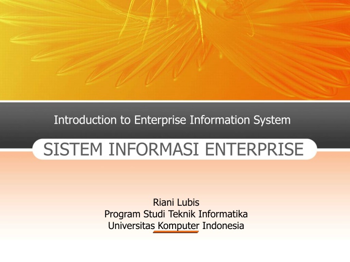 introduction to enterprise information system