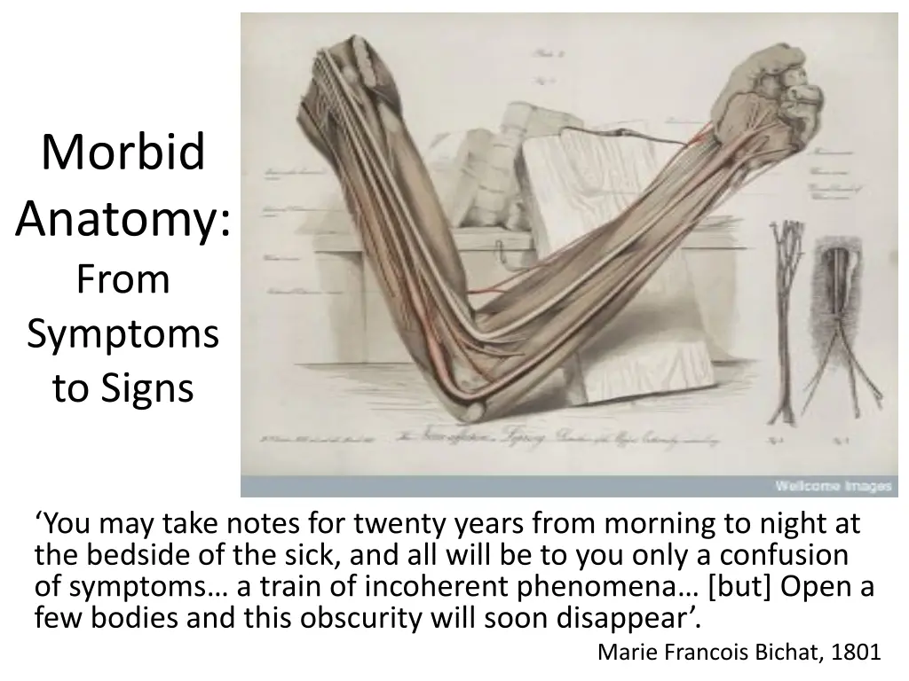 morbid anatomy from symptoms to signs