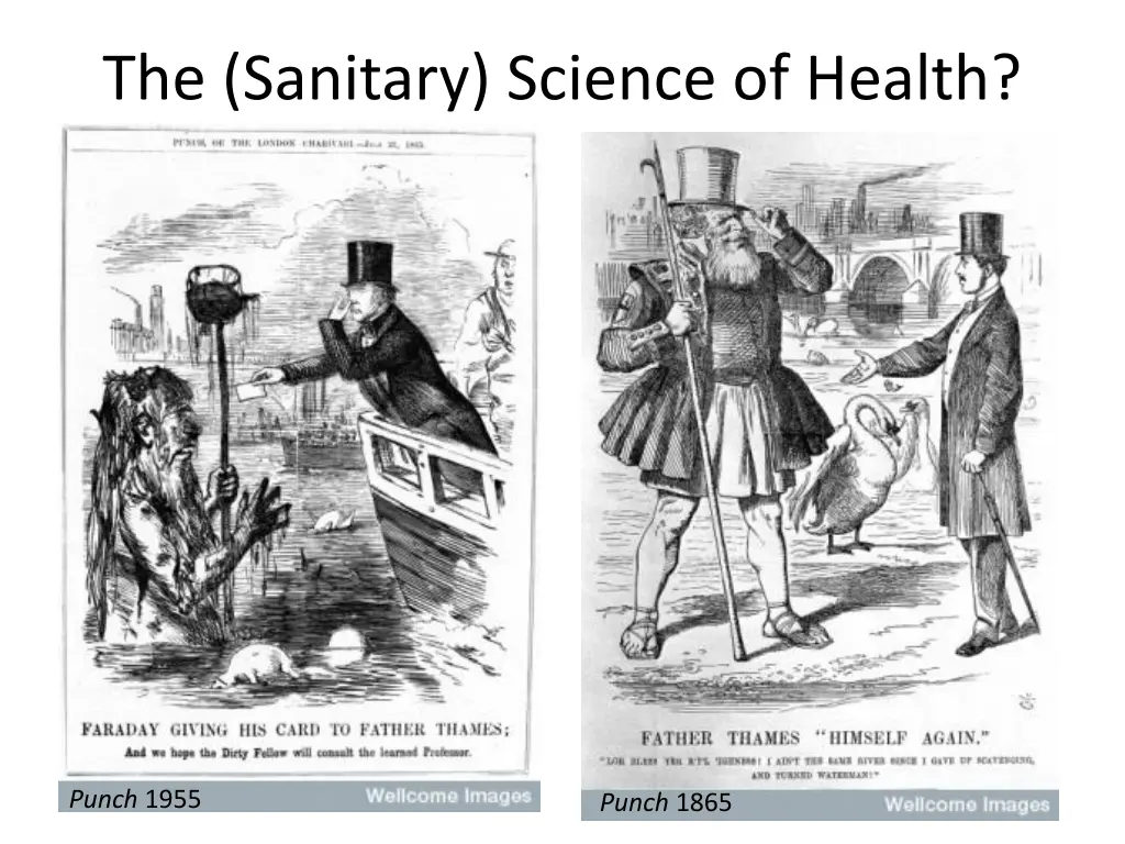 the sanitary science of health