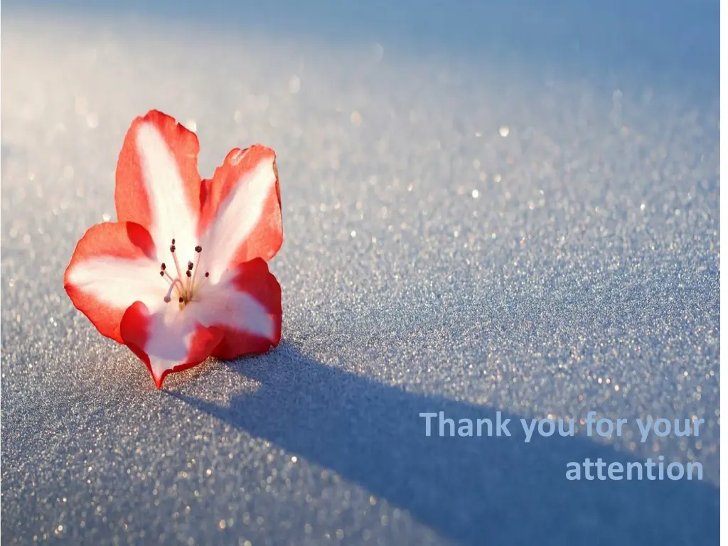 thank you for your attention