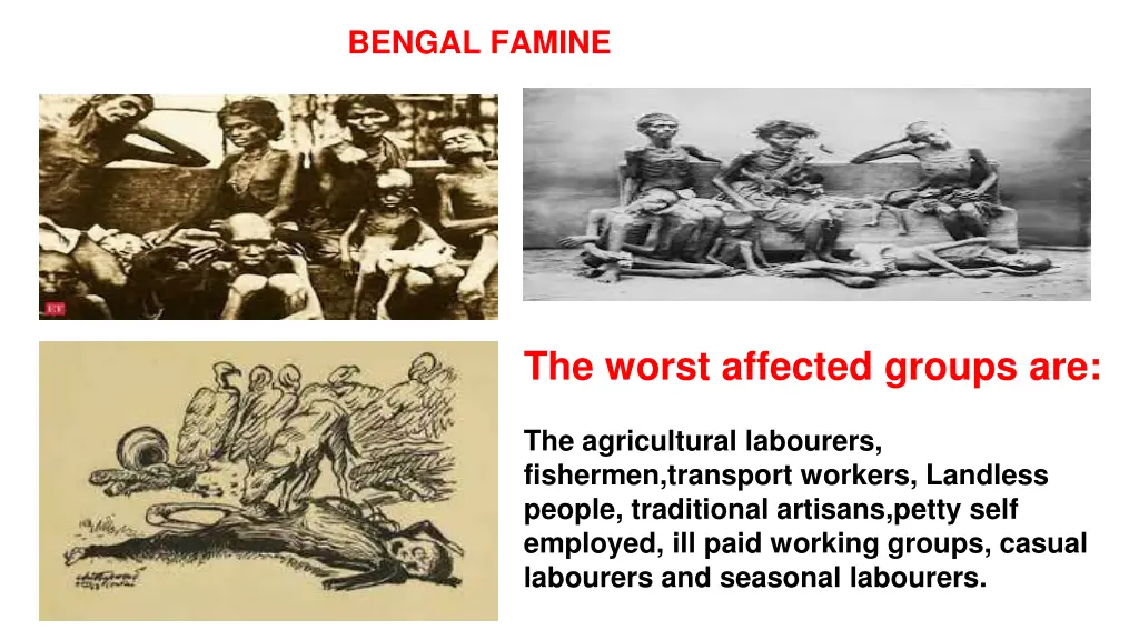 bengal famine