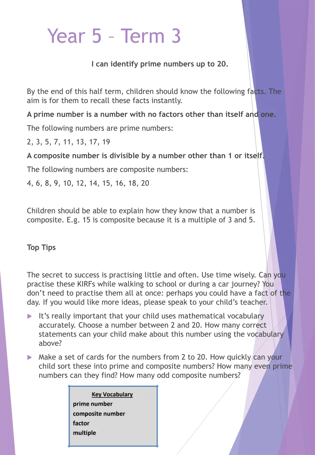 year 5 term 3