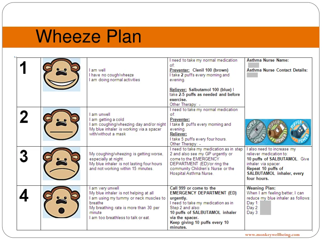 wheeze plan