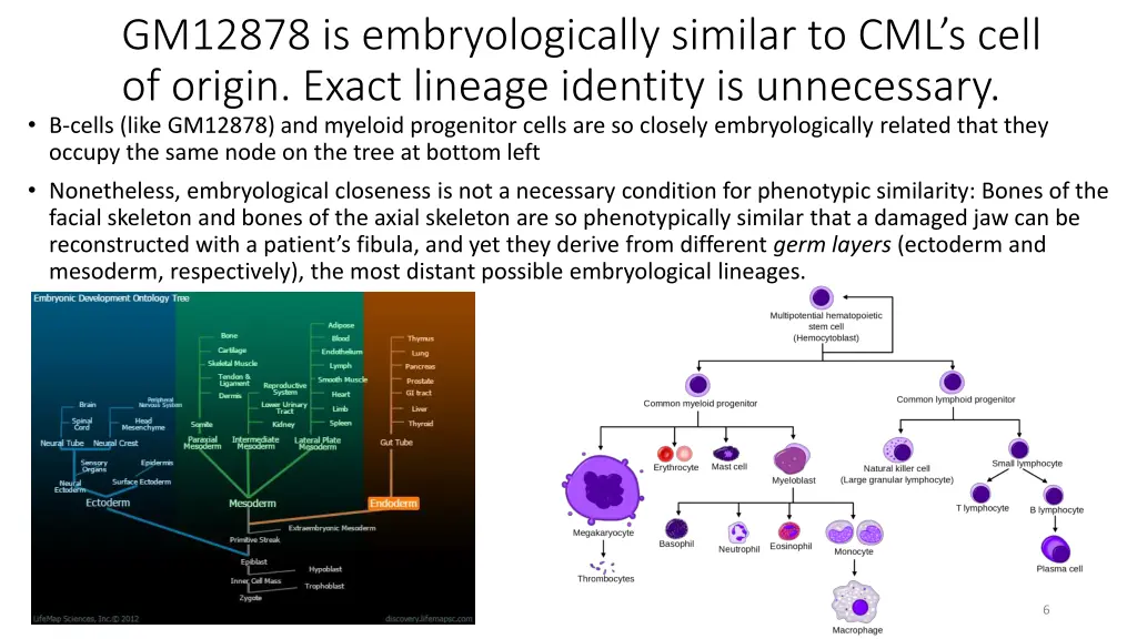 gm12878 is embryologically similar to cml s cell