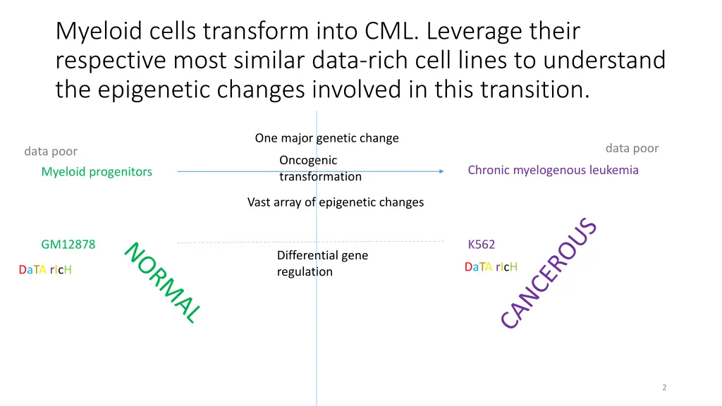 myeloid cells transform into cml leverage their