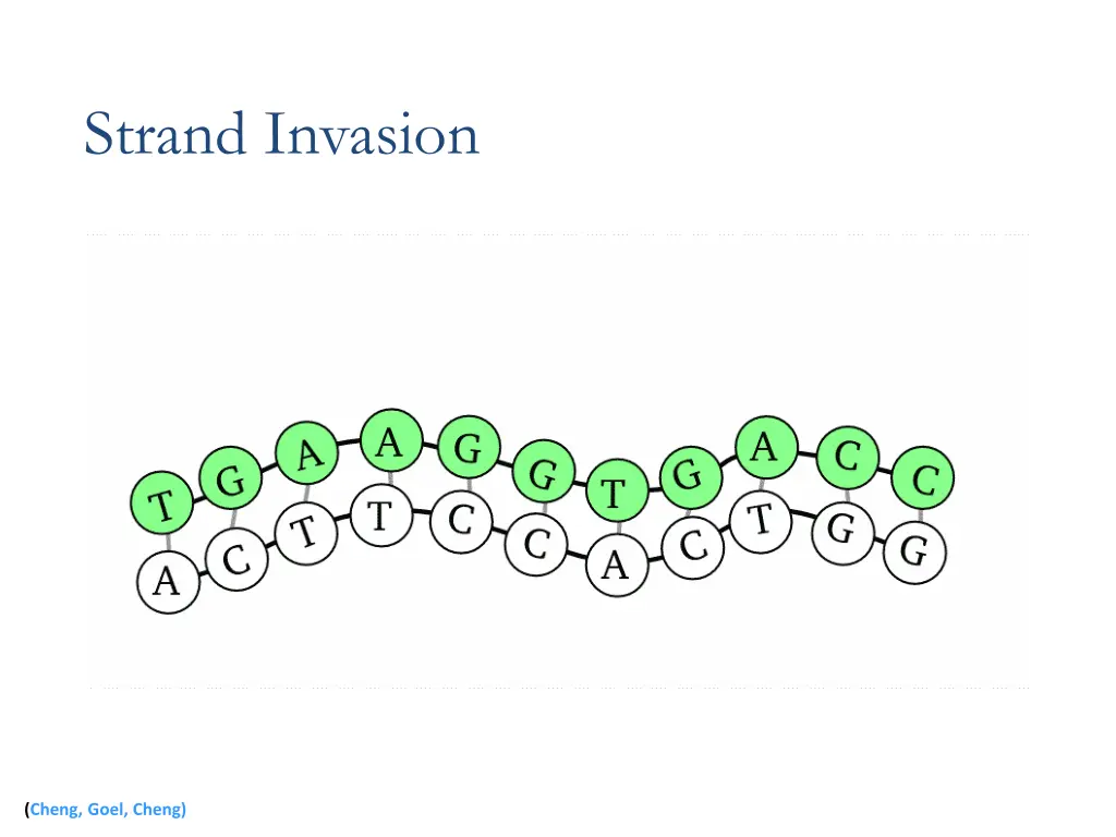 strand invasion 3