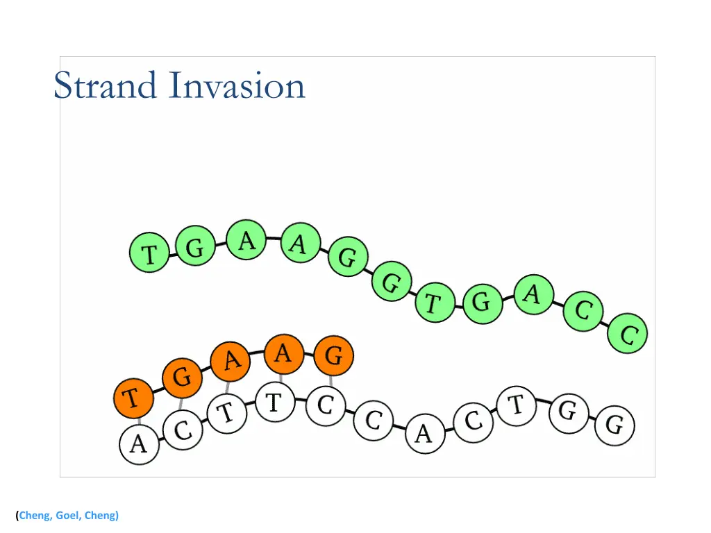 strand invasion 8