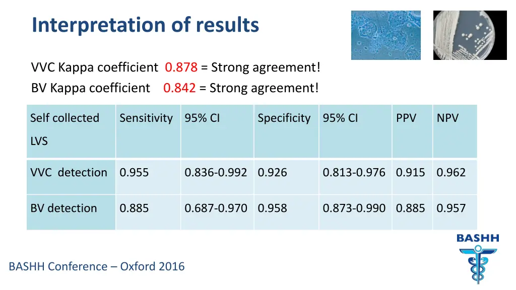 interpretation of results