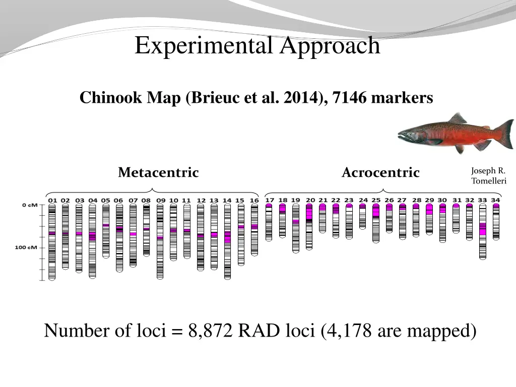 experimental approach
