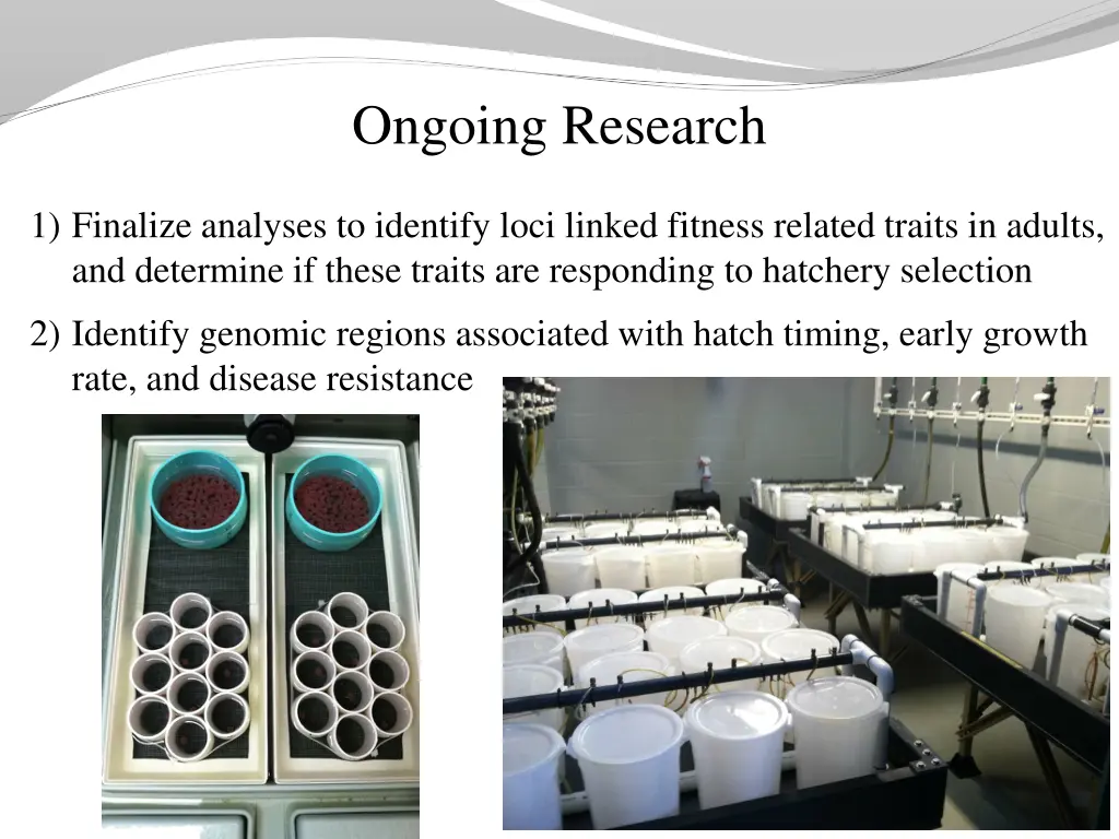 ongoing research