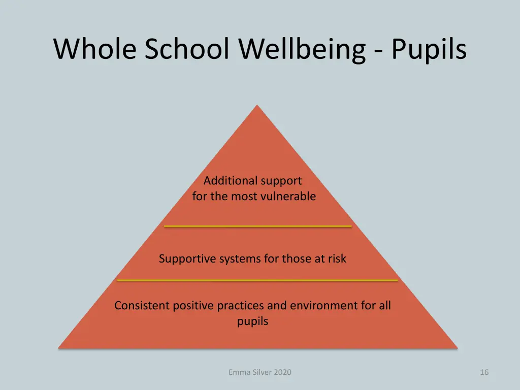 whole school wellbeing pupils 1