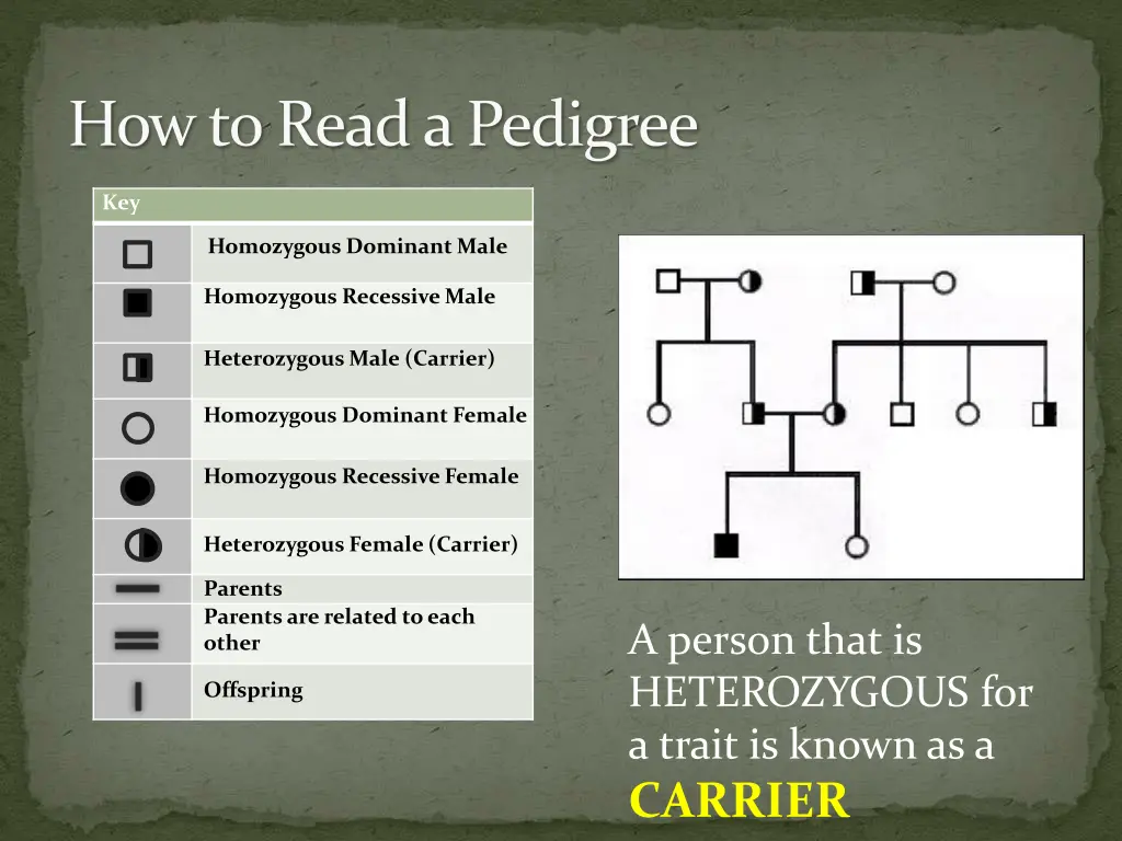 how to read a pedigree