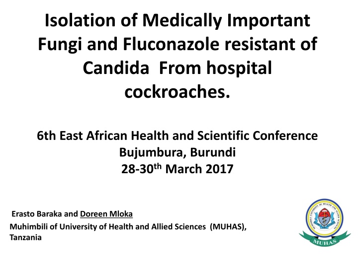 isolation of medically important fungi