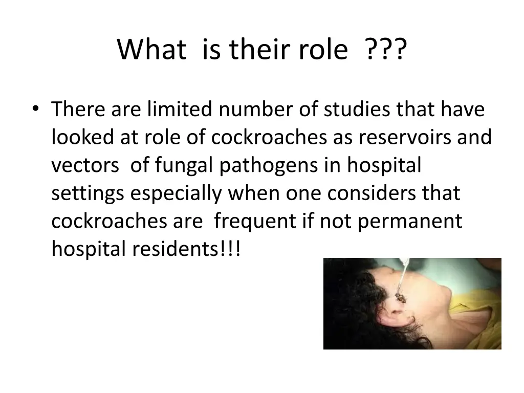 what is their role