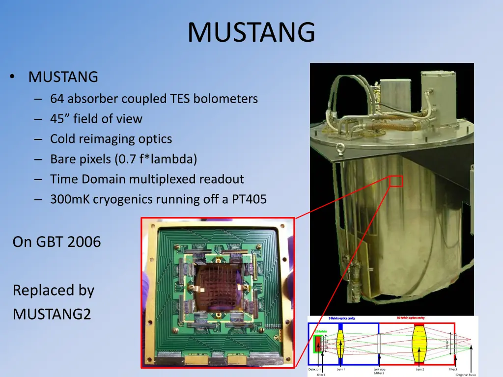 mustang
