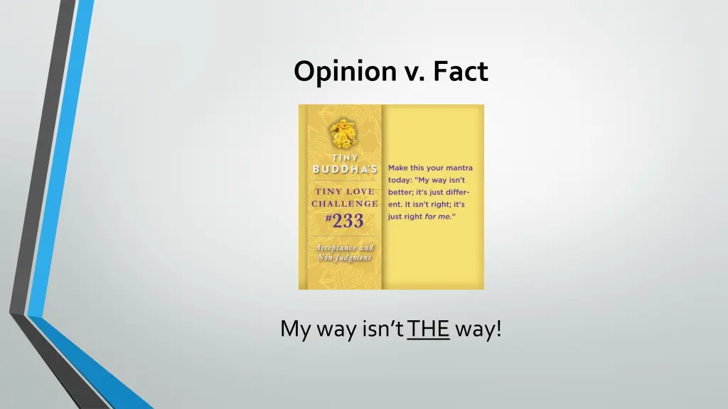 opinion v fact